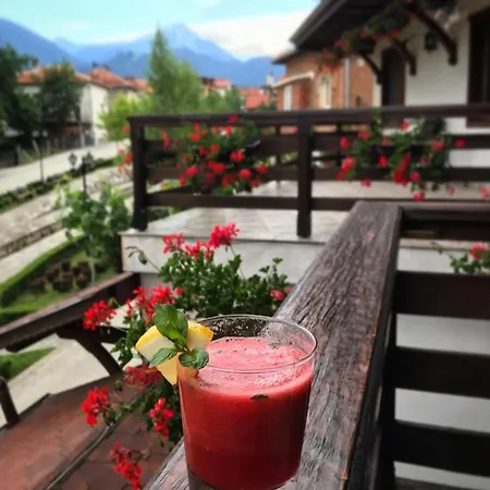 Hotel Dzhangal